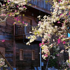 直到遇见了你我只喜欢你