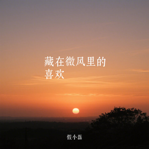 藏在微风里的喜欢