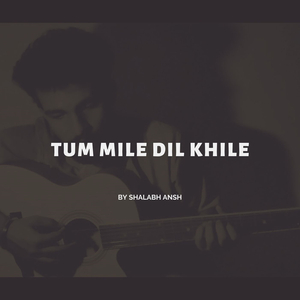 Tum Mile Dil Khile
