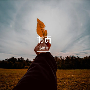 书卷