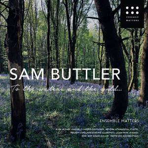 To the waters and the wild...: 1. Y Niwl/The Mist