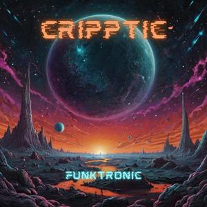 Funktronic