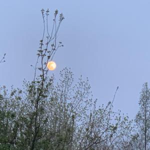 Jack Kerouac（Prod by RedRumMusic)