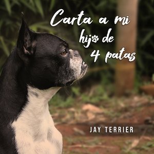Carta a mi hijo de 4 patas