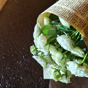 我会放你自由的