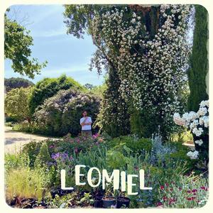 Les hauts et les bas