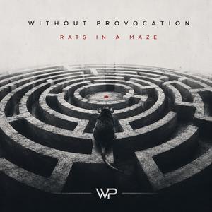 Rats in a Maze