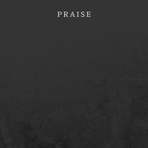 praise (Slowed & Reverb)