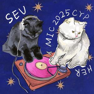 东南大学 MIC 2025 cypher