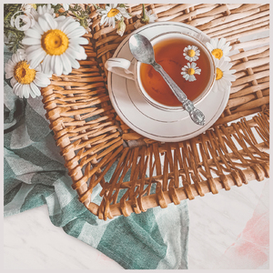 Cyclamen (feat. therapon)