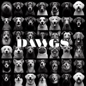DAWGS