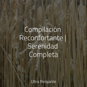 Invenciones Celestes