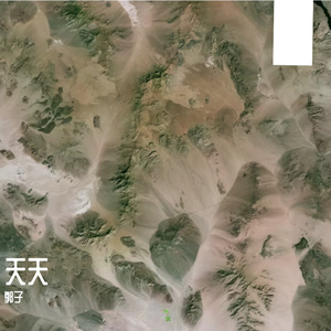 玫瑰予你独有的浪漫