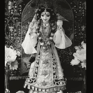 Om Shri Tulasyai Vidmahe Vishnu Priyayai Dheemahi Tanno Brundah Prachodayat 108 Tulasi Gayatri