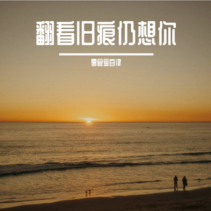 翻看旧痕仍想你