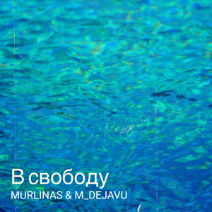 В свободу