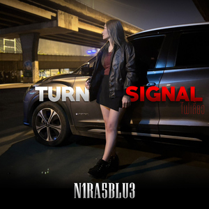 ไฟเลี้ยว (Turn Signal)