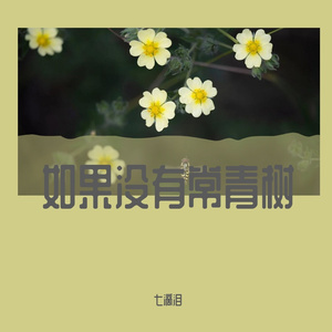 如果没有常青树