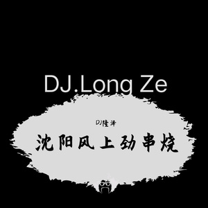 DJ隆泽-11全新自制串烧一（DJ隆泽 remix）