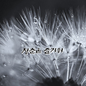 청춘은 즐거워 (Rap Ver.)