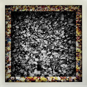 Sleepwalker (Jan Blomqvist Remix)