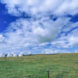 《无奈忧伤的纠结之境》