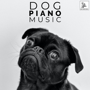 Music For Dogs Ears