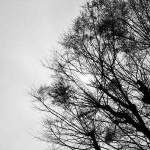 晴間 (feat. 初音ミク)