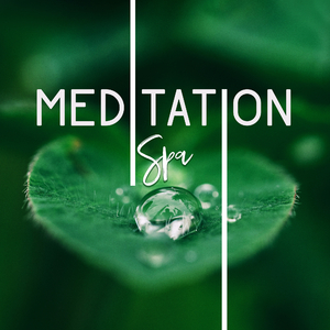 Art of Meditation