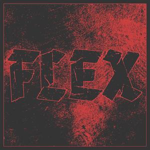 FLEX
