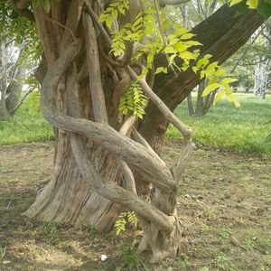 诚信是金-内求于己