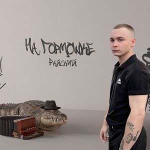 На гармошке