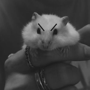 流氓（prod.Yn1Jasper）