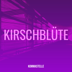 Kirschblüte