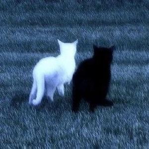 mele kalikimaka (merry christmas) (sped up)