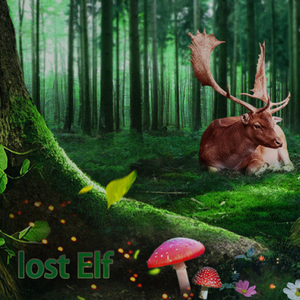 Lost Elf