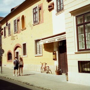 初春的第一朵花