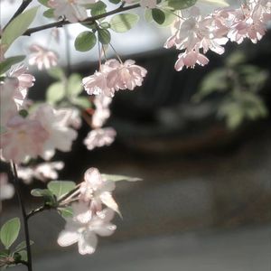 迟的风（Prod.Cavilate）