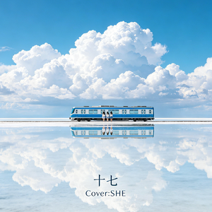 十七（Cover:SHE）