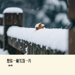 想你一遍雪落一片