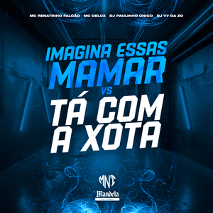 Imagina Essas Mamar Vs Ta Com a Xota