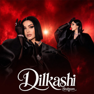 Dilkashi