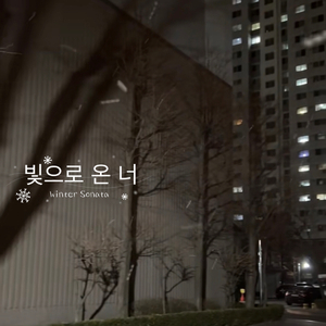 빛으로 온 너