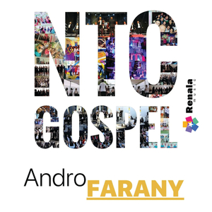 Andro Farany