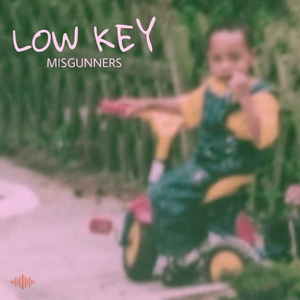 Misgunners