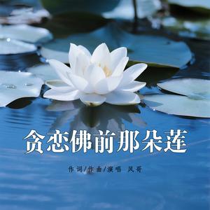 贪恋佛前那朵莲