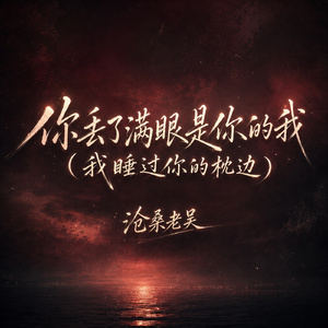 你丢了满眼是你的我(我睡过你的枕边)