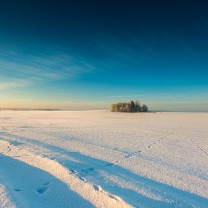 Swervin' (feat. Level & Young Nikos)