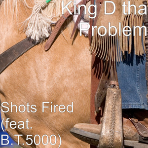 Shots Fired (feat. B.T.5000)