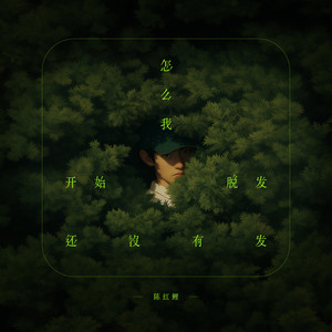 怎么我开始脱发还没有发